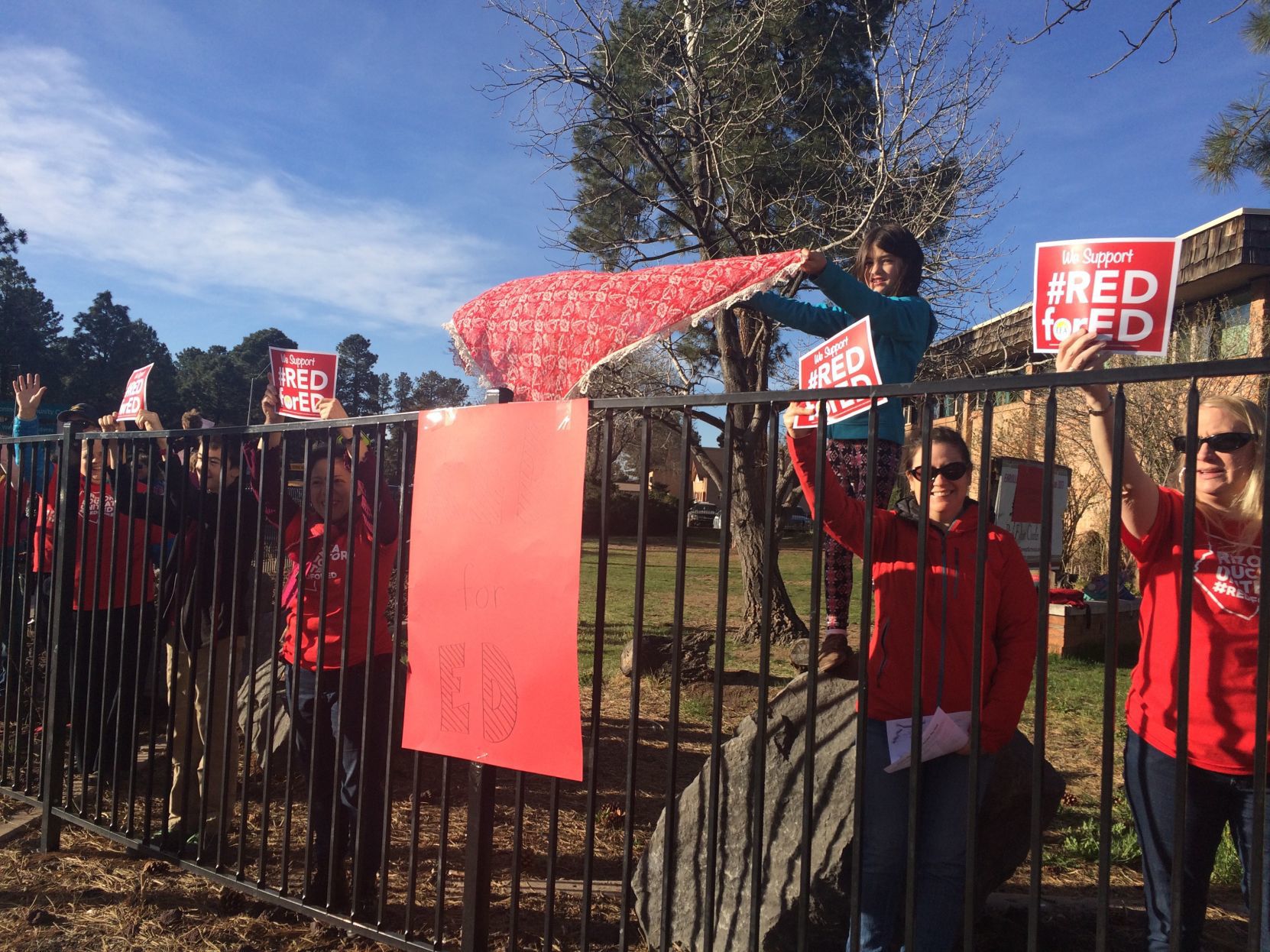 Pine Forest Red for Ed
